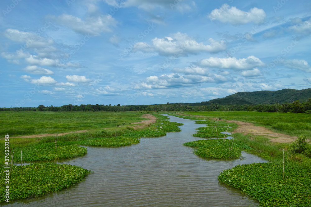 Canals and grasslands and blue sky Canals and grasslands and blue sky