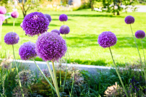 Landschaftsgestaltung im Garten gartenbau gala