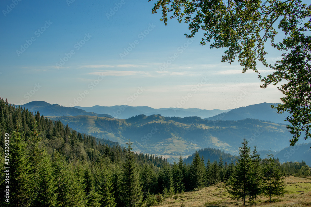 Morning sunny day is in mountain landscape. Carpathian, Ukraine, Europe. Beauty world. Large resolution