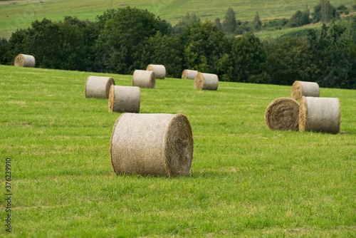 Straw bales on meadow on countryside background.