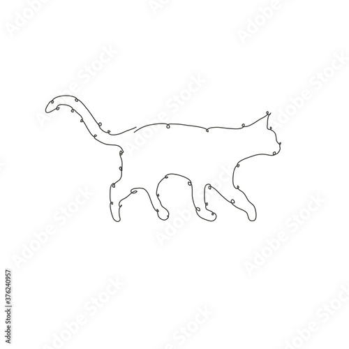 hand drawn catl continuous line photo