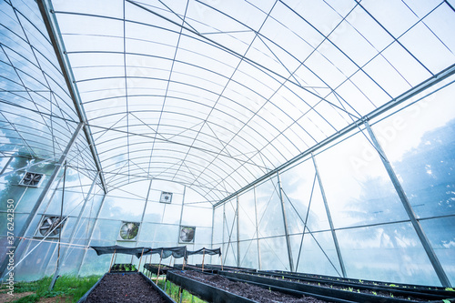 .Modern vegetable growing h...