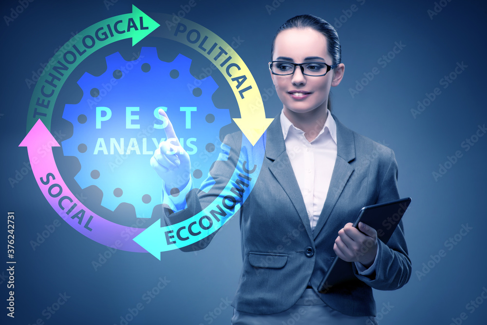 Business people in PEST analysis business concept Business people in PEST analysis business concept