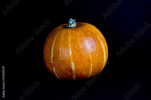 Pumpkin on a black background. Halloween mood. The concept of Halloween, holiday, harvest.