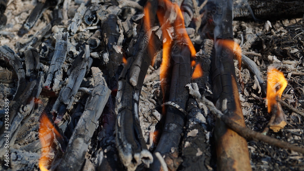 Firewood burns beautifully in nature Firewood burns beautifully in nature