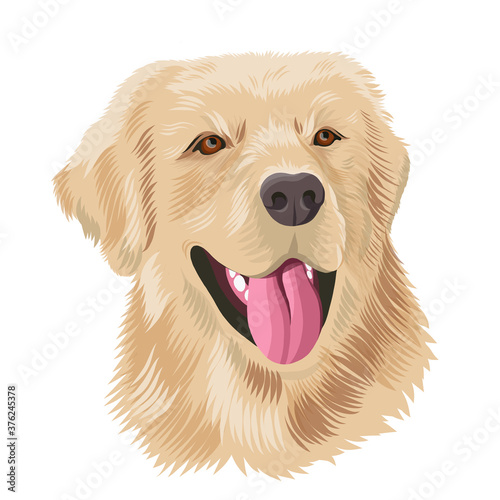 Labrador retriever closeup dog portrait. Pet animal sketch in colour, vector illustration labrador face. Dog head with protruding tongue.