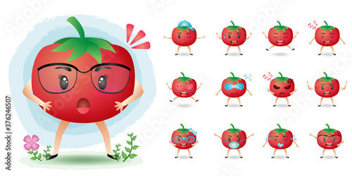 Cute mascot tomato character set collection