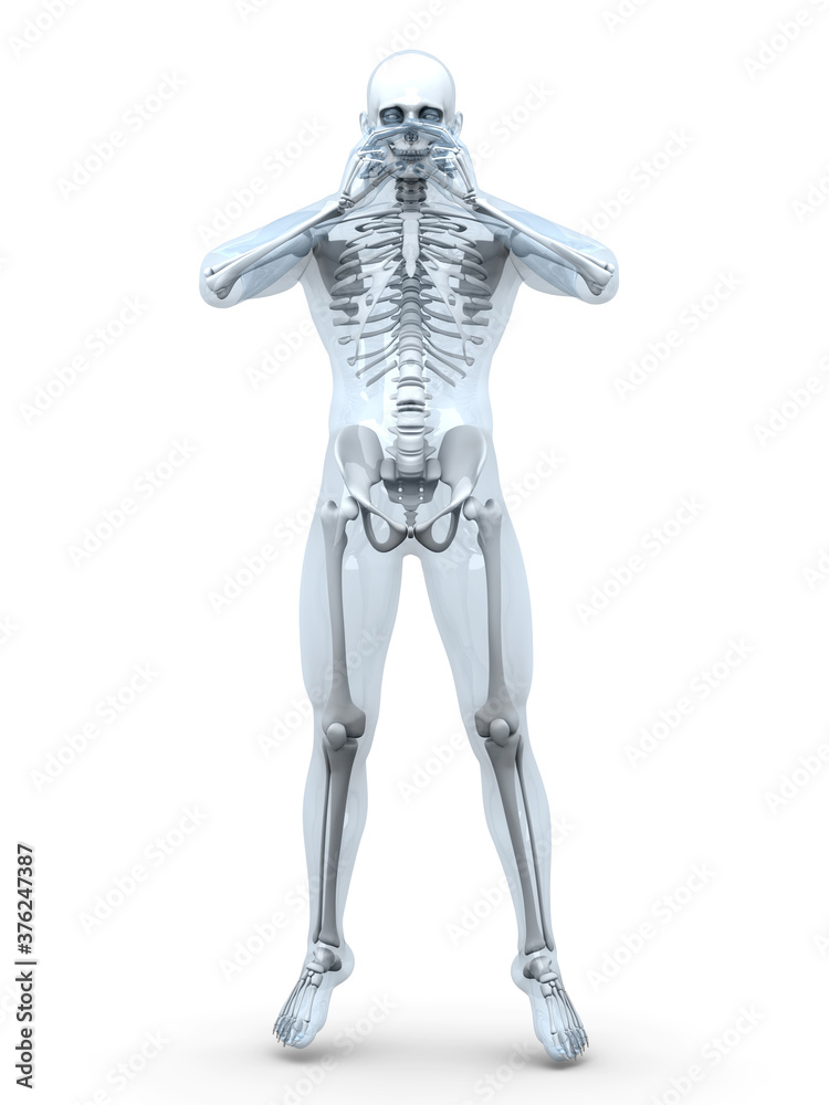 Male Human anatomy visualisation