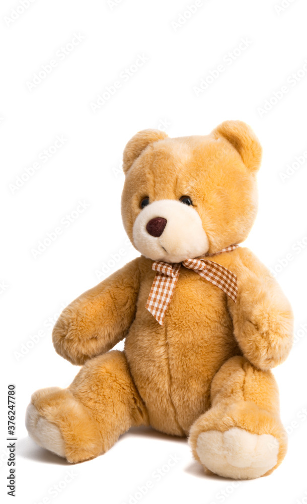 Fototapeta premium soft toy bear isolated