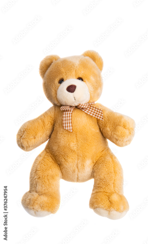 soft toy bear isolated