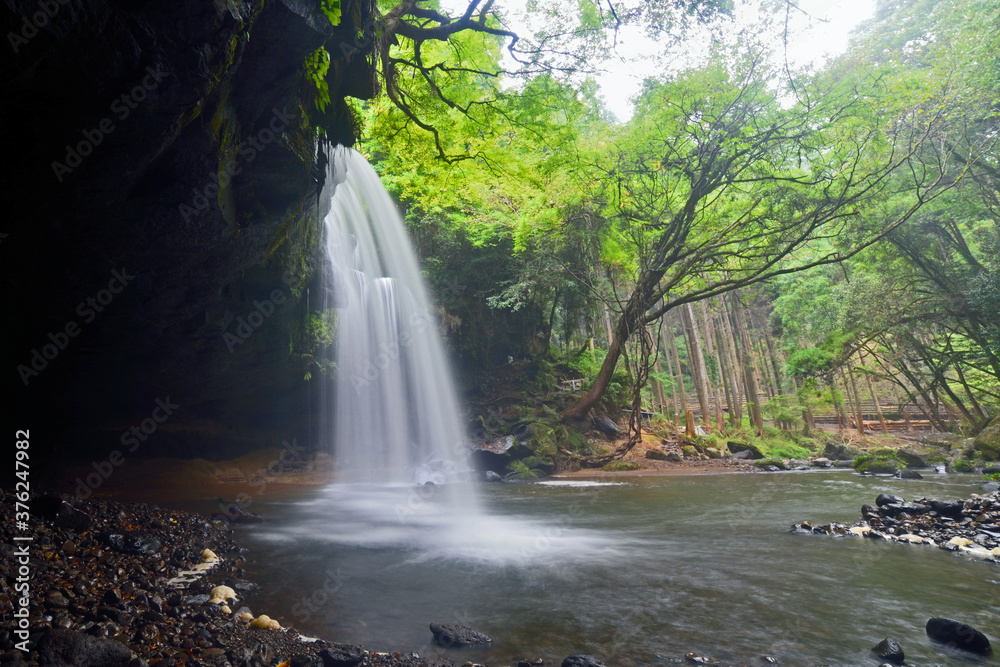 Fototapeta premium 夏の鍋ヶ滝
