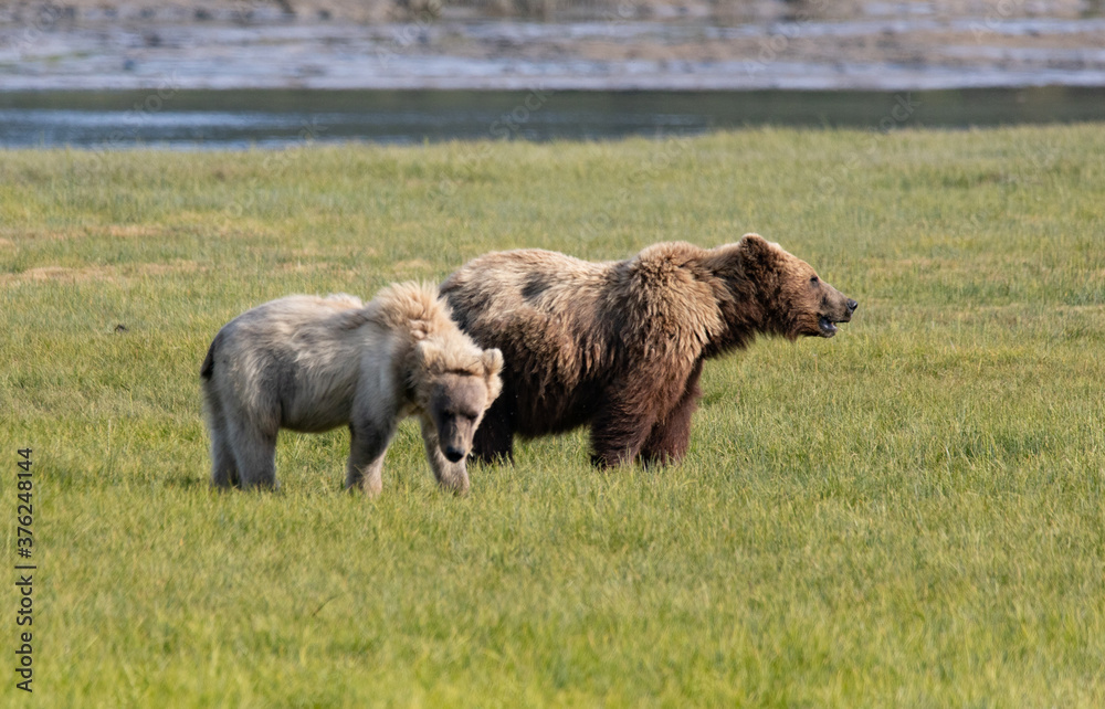 Alaska, Lake Clark National Park, Seward, Homer Alaska, Lake Clark National Park, Seward, Homer