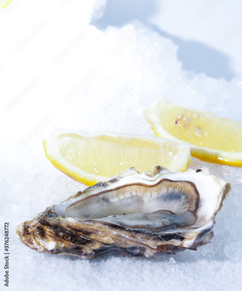 fresh oysters with lemon fresh oysters with lemon