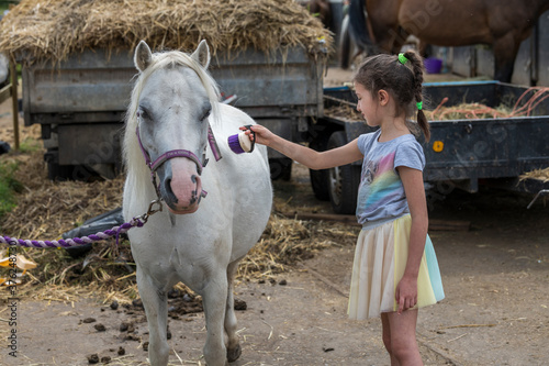 Smiling pretty young girl standing grooming the horse with a brush in an outdoor paddock © max