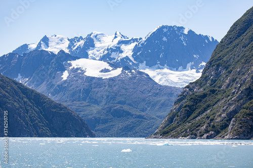 Seward Glaciers Sea Wildlife Alaska