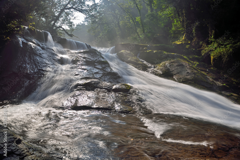 Fototapeta premium 菊池渓谷の光芒「四十三万滝」