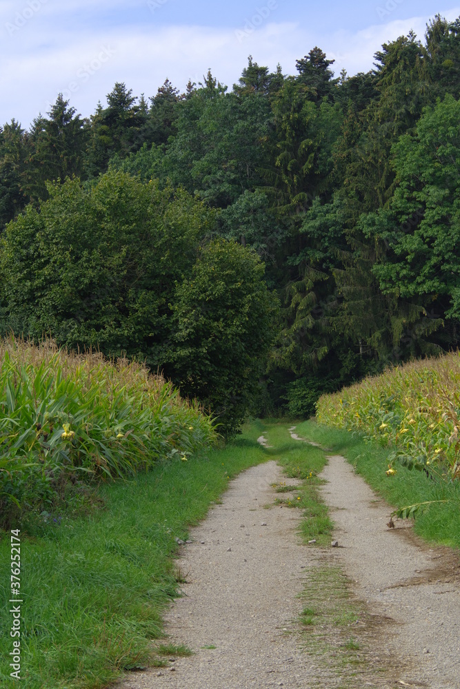 Wege zum Ziel!