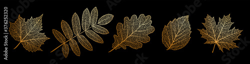 Set of vector texture leaves. Silhouette of plants. Gold natural elements for seasonal backgrounds, templates, wallpaper, cards, banners. Modern stylish design.