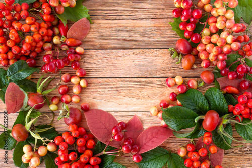 Autumn composition of bright ripe rowan berries  viburnum and wild rose hips.
