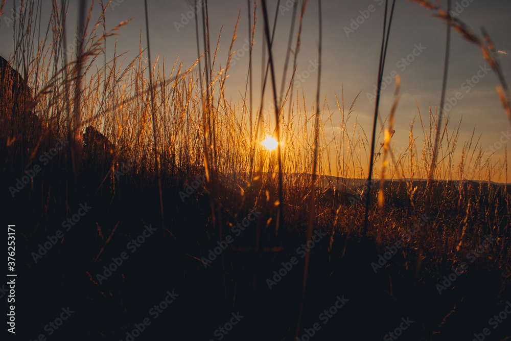 Fototapeta premium Por do sol