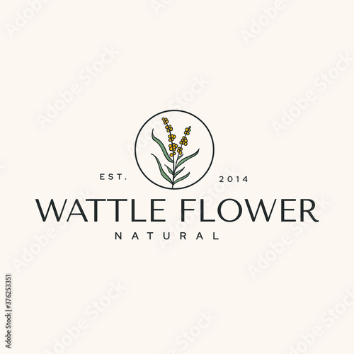 Wattle Flower Botanical Nature Logotype Vintage Hipster Illustration Icon Template 