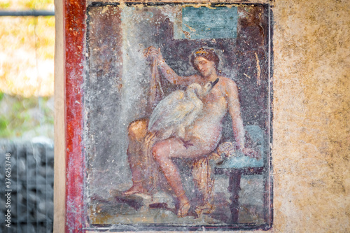 Leda and the Swan: the fresco re-emerges in a room along Via del Vesuvio, during re-profiling interventions on the Regio V excavation fronts, Pompeii