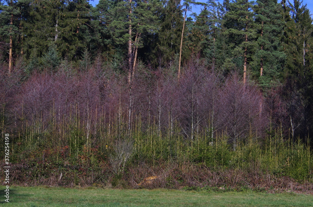 Herbstliche Landschaft! Herbstliche Landschaft!