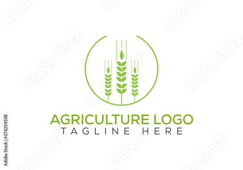 simple wheats ears icons and wheat logo design elements for beer, organic fresh food corn farm