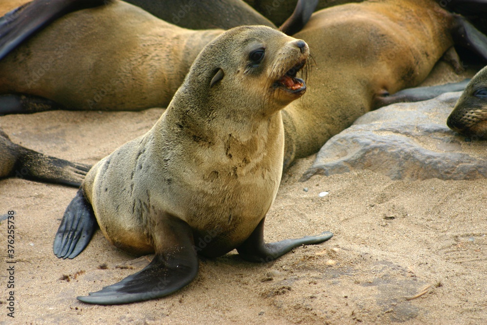 Fototapeta premium Swakopmund