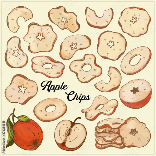 Apple chips. Organic food, vector doodle hand drawn sketch style illustrations collection isolated on white background. 