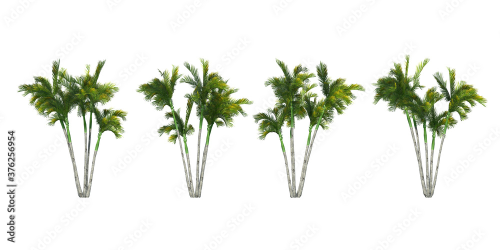 Set of 3D palm trees isolated side view on white background