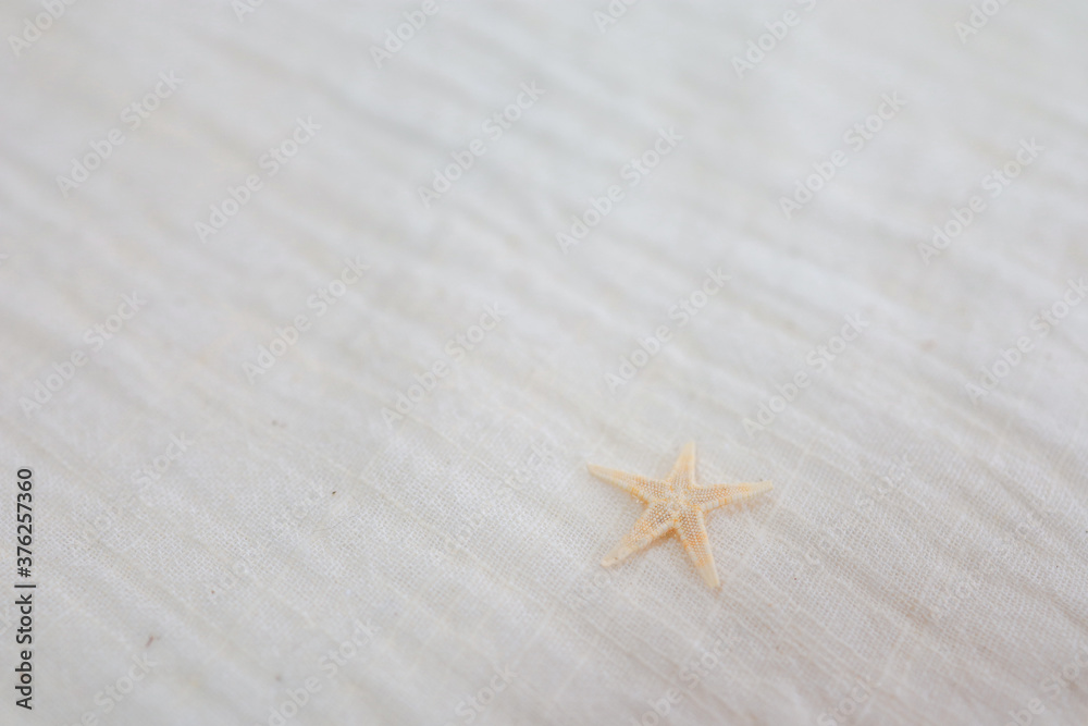 background of Summer holiday Ready vacation relaxing on beach background for copy space background of Summer holiday Ready vacation relaxing on beach background for copy space