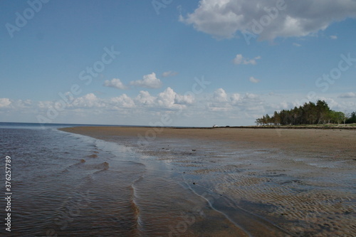 sandy beach of the White sea