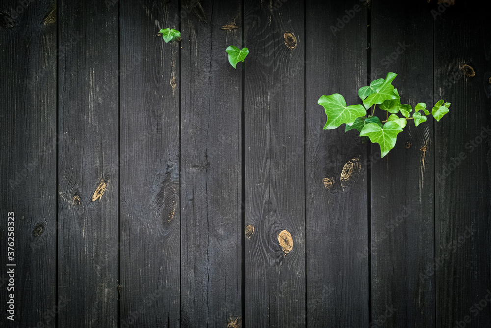 Walnut wood. Old floor wooden pattern. Timber plank surface wall for vintage grunge wallpaper. Dark grain panel board table with copy space. Montage product design concept. Walnut wood. Old floor wooden pattern. Timber plank surface wall for vintage grunge wallpaper. Dark grain panel board table with copy space. Montage product design concept.