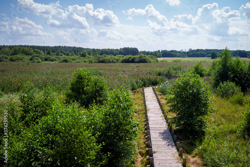 Wooden pathway going through marshland area (Olszowieckie Bloto) in Kampinos National Park, Poland, Europe. photo