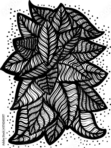 isolated design of leaves. Pattern natural design. Black and white hand drawn lined pattern. Leaf motiv. Background decoration. Wall art. 