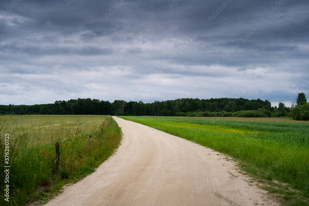 Dirt road in rural fields and meadows area turns left. Cloudy dark sky. Hiking trail in Polesie National Park, Poland, Europe.