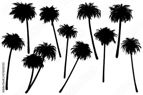 Palm tropic silhouettes. Basis design on white background