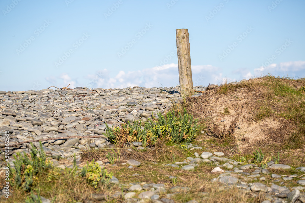 stone path in the field