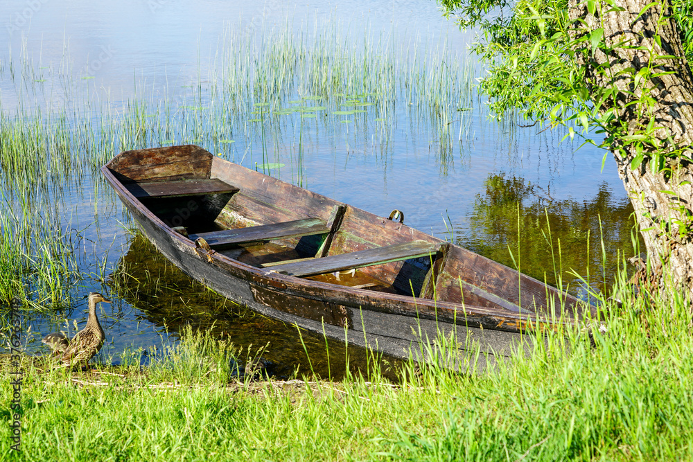 the duck looks at a wooden boat by the lake the duck looks at a wooden boat by the lake