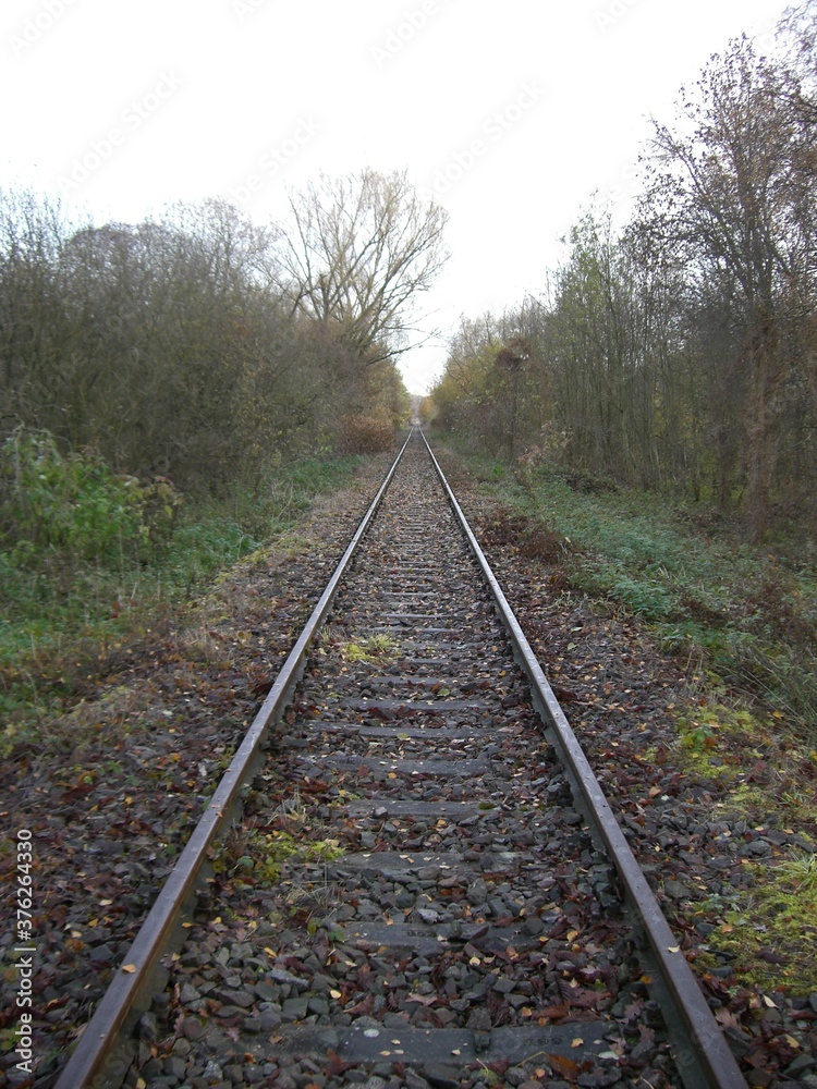 Fototapeta premium Sintra, Lissabon