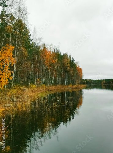 autumn in the park