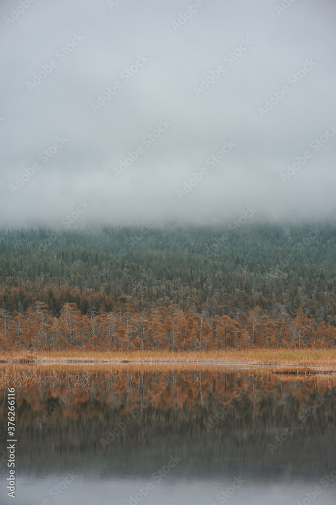 Surreal foggy landscape with forest lake and misty clouds. Surreal foggy landscape with forest lake and misty clouds.