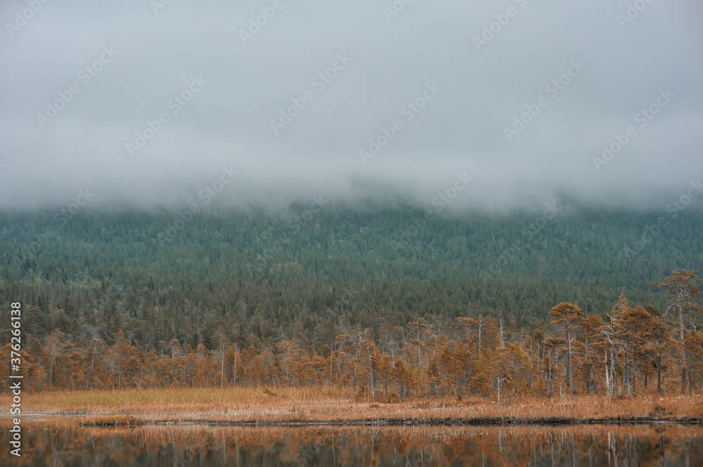 Surreal foggy landscape with forest lake and misty clouds.
