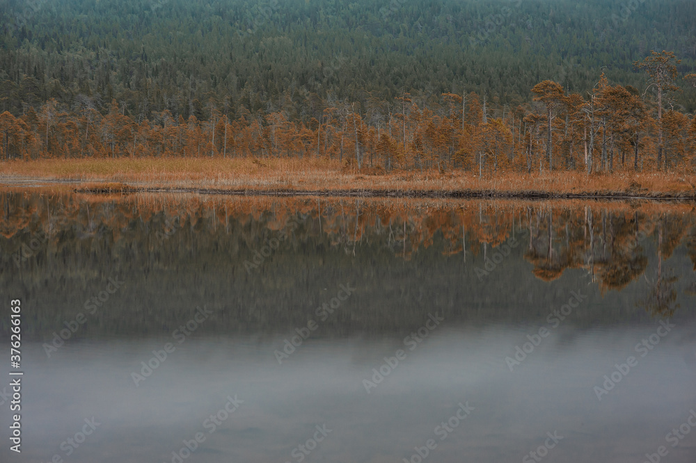 Surreal foggy landscape with forest lake and misty clouds. Surreal foggy landscape with forest lake and misty clouds.