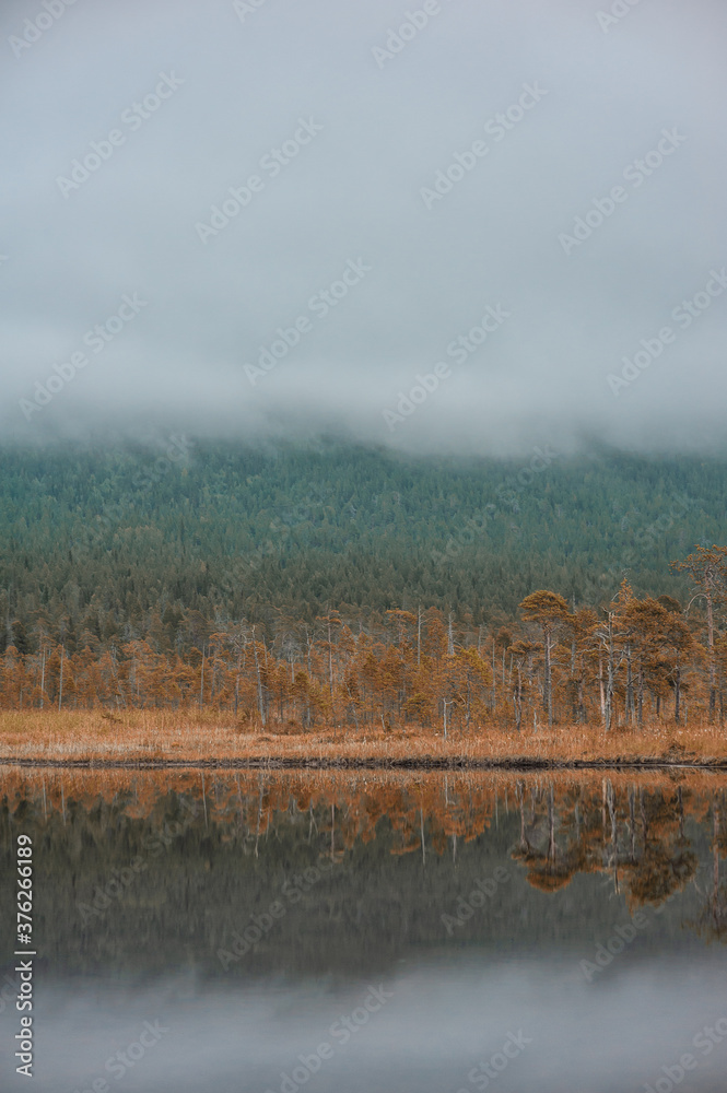 Surreal foggy landscape with forest lake and misty clouds. Surreal foggy landscape with forest lake and misty clouds.