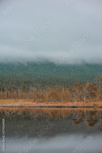 Surreal foggy landscape with forest lake and misty clouds. © darkbird