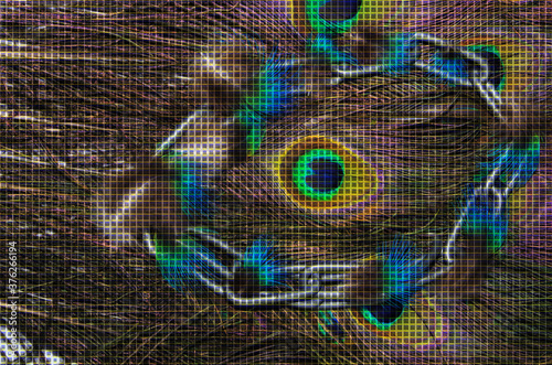 abstrakt