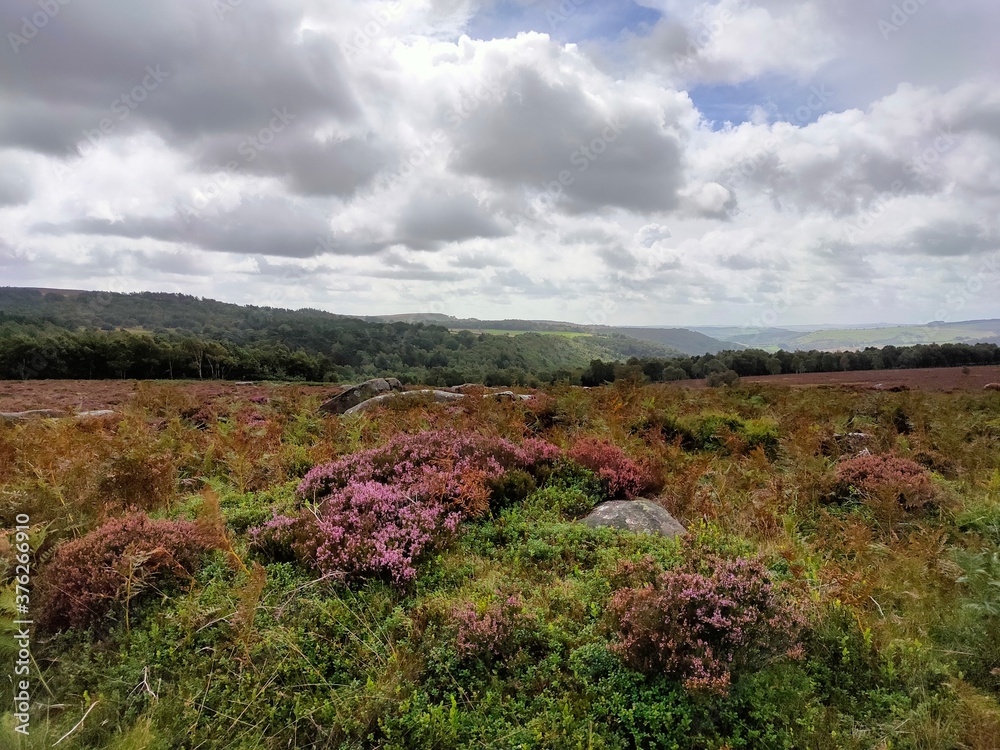 Fototapeta premium Peak district