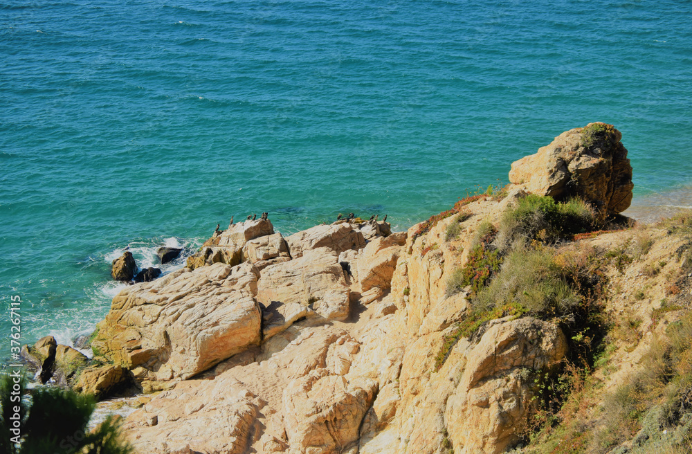 Birds on huge rocks, bordered by the Mediterranean Sea with transparent waters